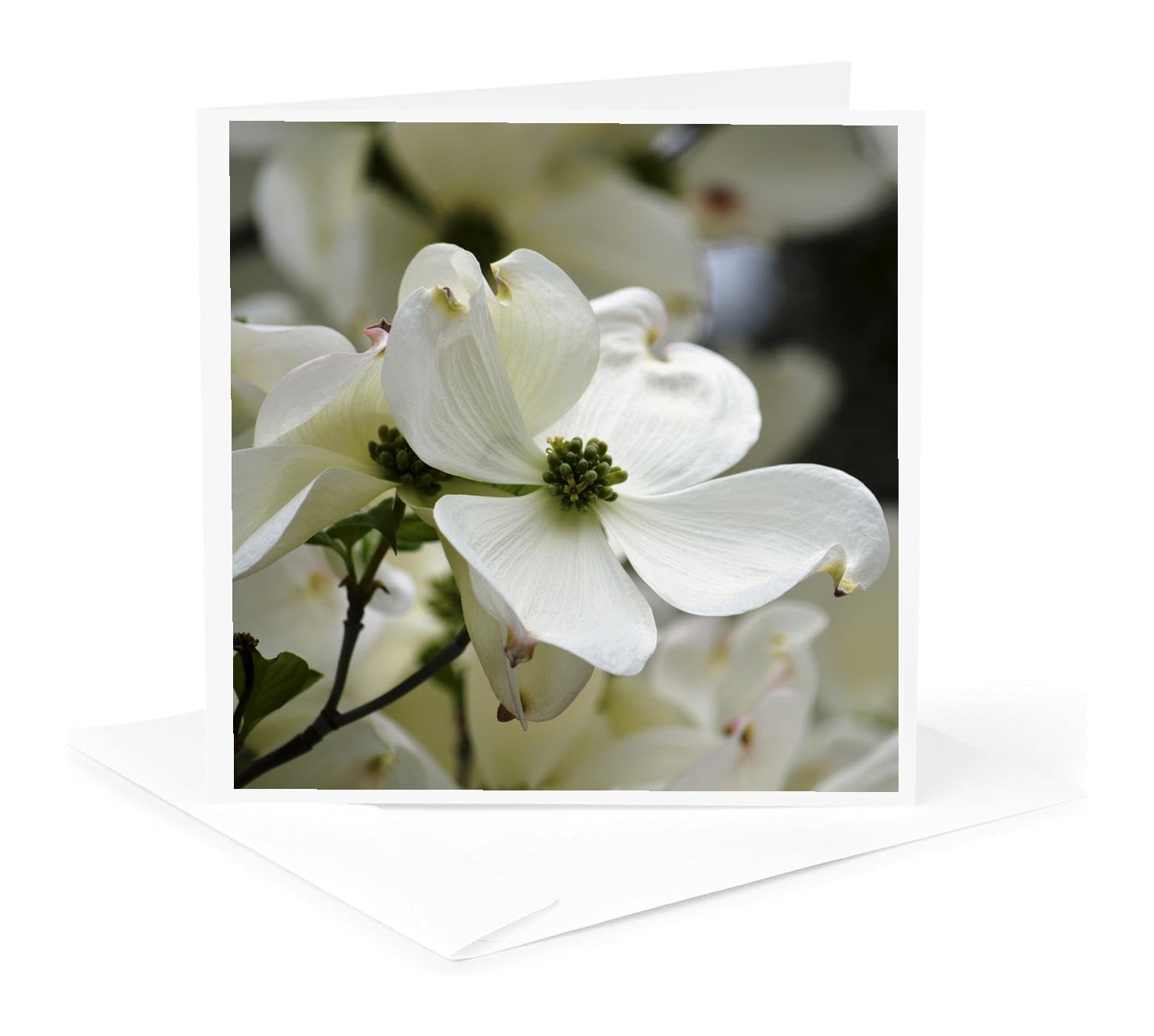 3D Rose Greeting Card with Envelope - Elegant Floral Design for Birthday, Anniversary & Thank You - Perfect for Special Occasions & Romantic Gifts