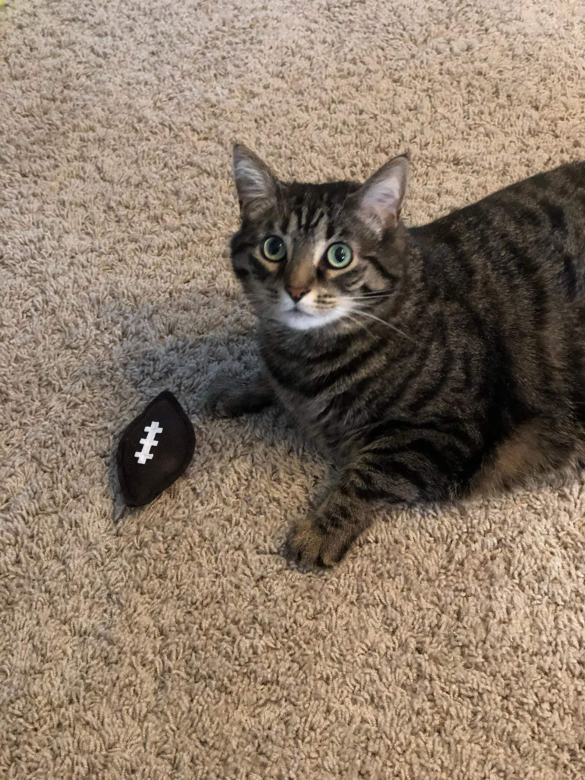 Organic Catnip Football Cat Toys - 2 Pack Fun Interactive Play Toys for Kittens & Adult Cats - Perfect for Indoor Play, Training & Bonding Time