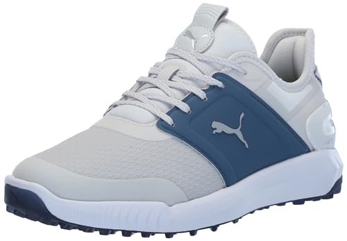 Feather Gray/Evening Sky/Puma White