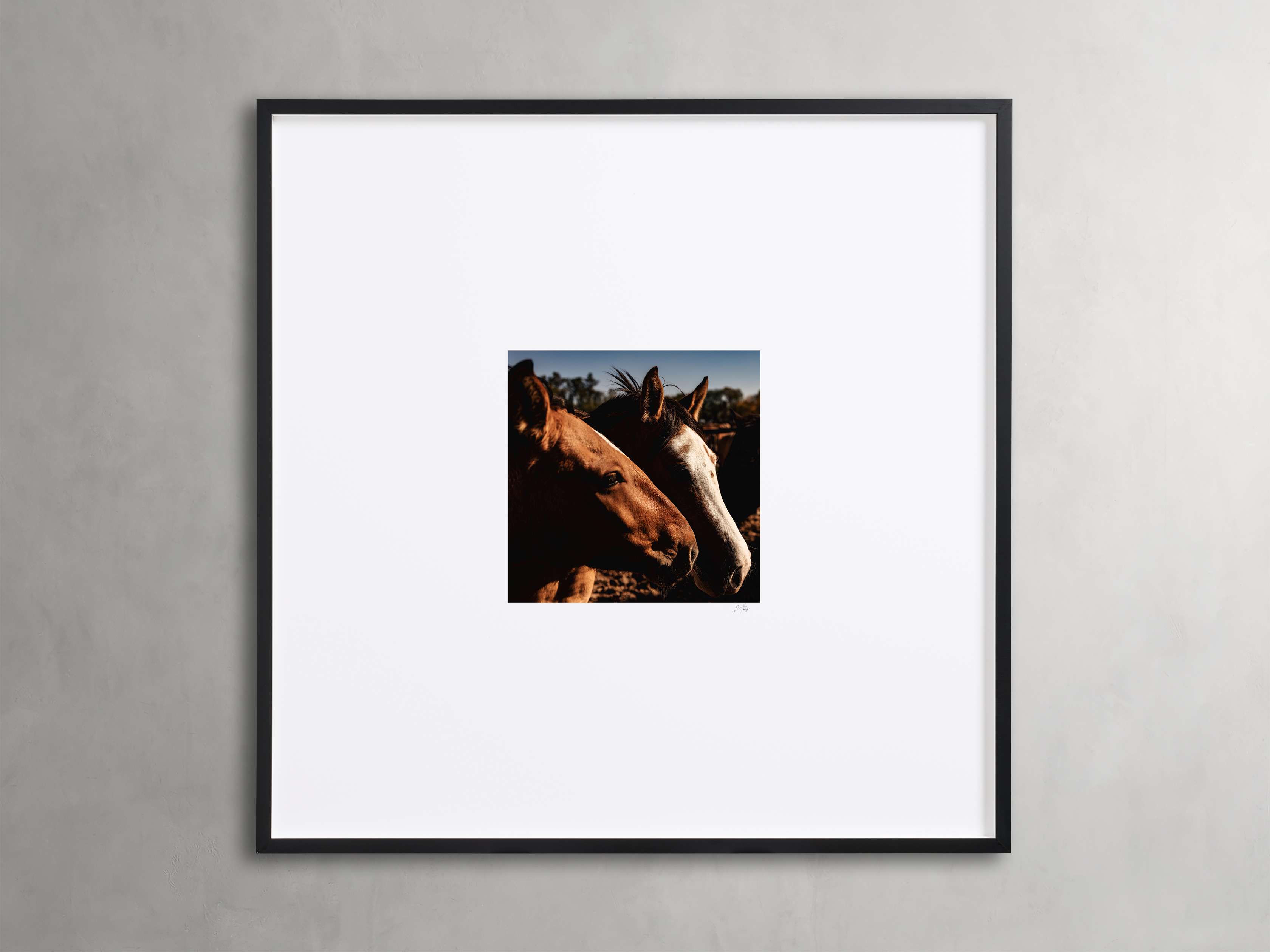 Argentina Horses Wall Art - Framed Print for Home & Office Decor - Perfect for Living Room, Bedroom, or Western-Themed Spaces