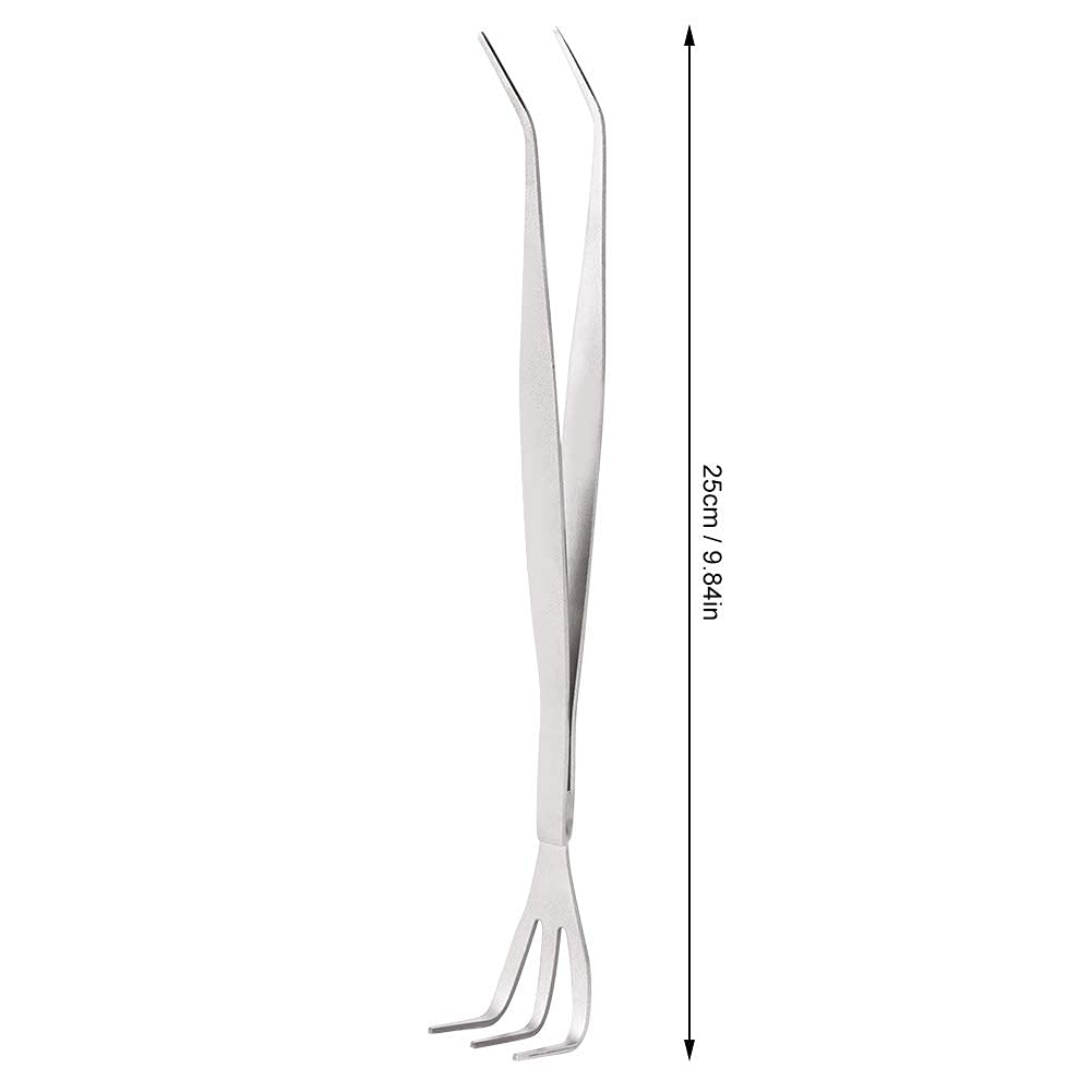 Agatige 2 in 1 Stainless Steel Gardening Hand Rake - Root Claw Rake for Bonsai, Cultivating, Loosening Soil & Spreading Mulch | Perfect for Indoor Plants, Flower Beds & Small Garden Maintenance
