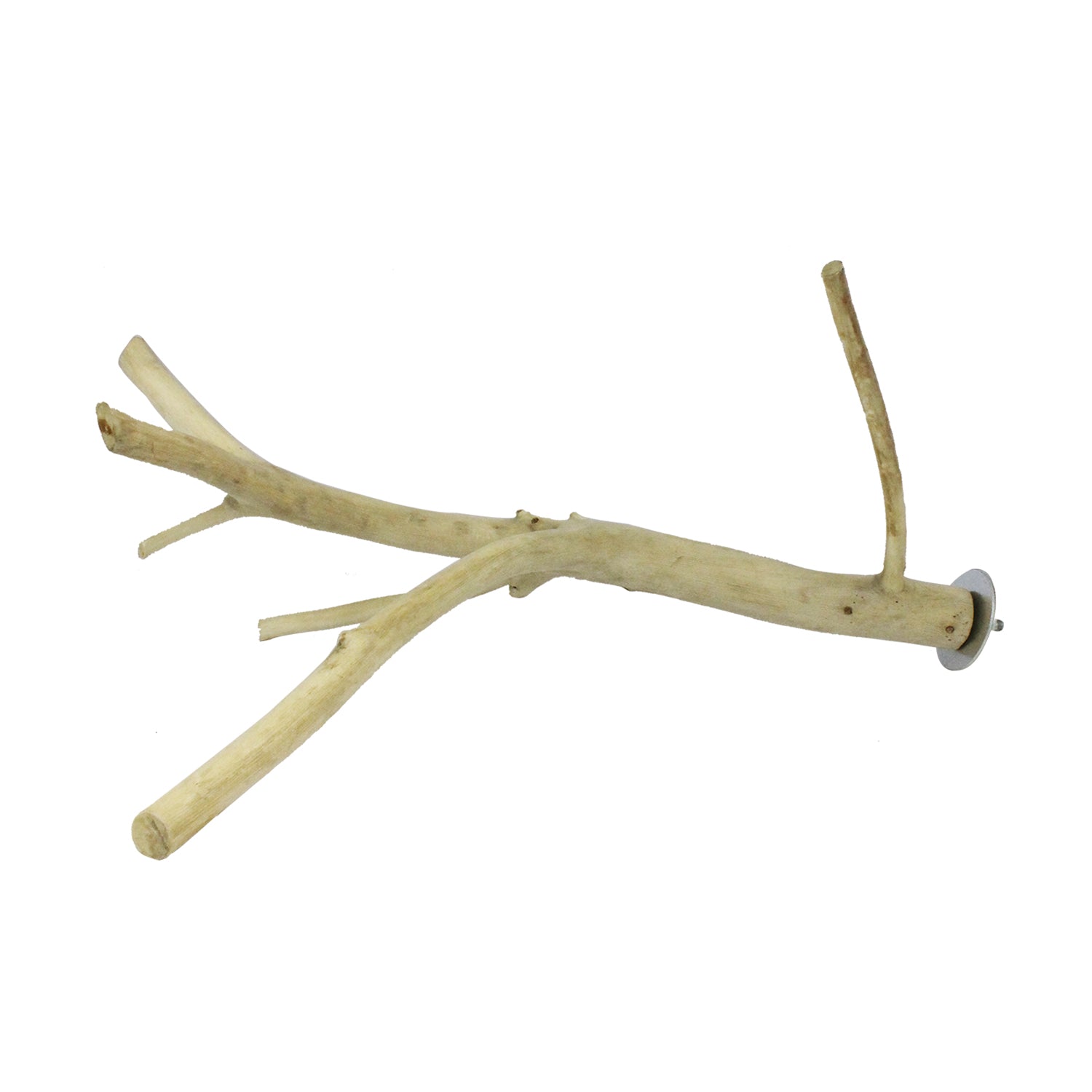 Multi Branch Perch for Birds - Natural Wood Bird Perch Stand with Multiple Branches - Perfect for Parrots, Cockatiels & Small Birds - Cage & Play Gym Accessory