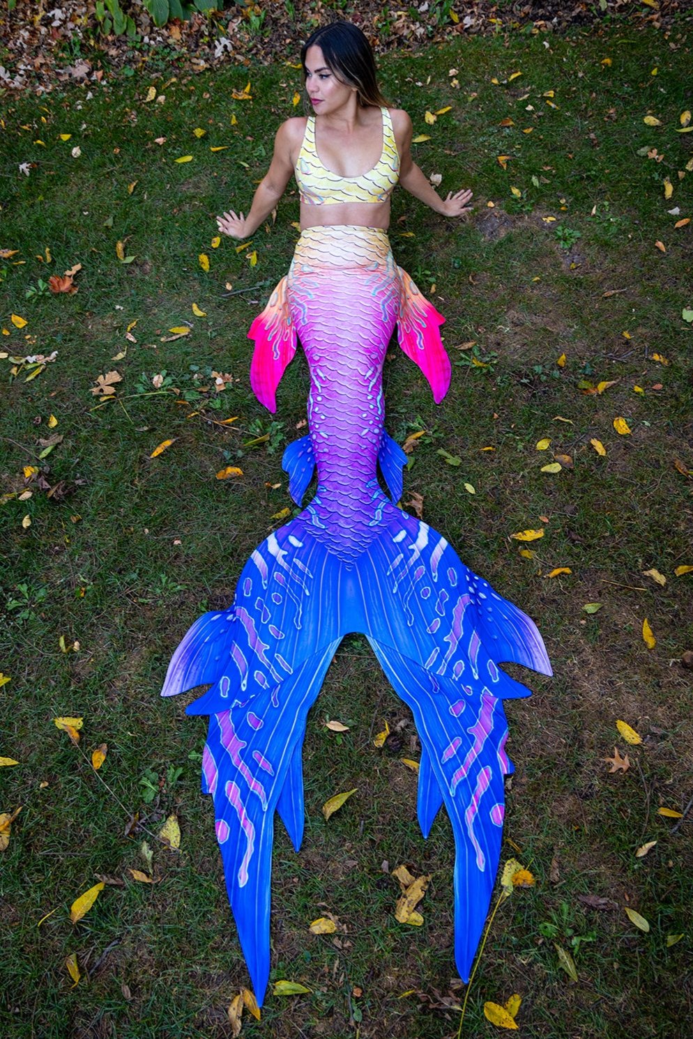 Fairy GalleryTail - Premium Handmade Fairy Wings for Cosplay, Halloween Costumes, and Fantasy Photography - Perfect for Costume Parties, Themed Events, and Creative Photo Shoots