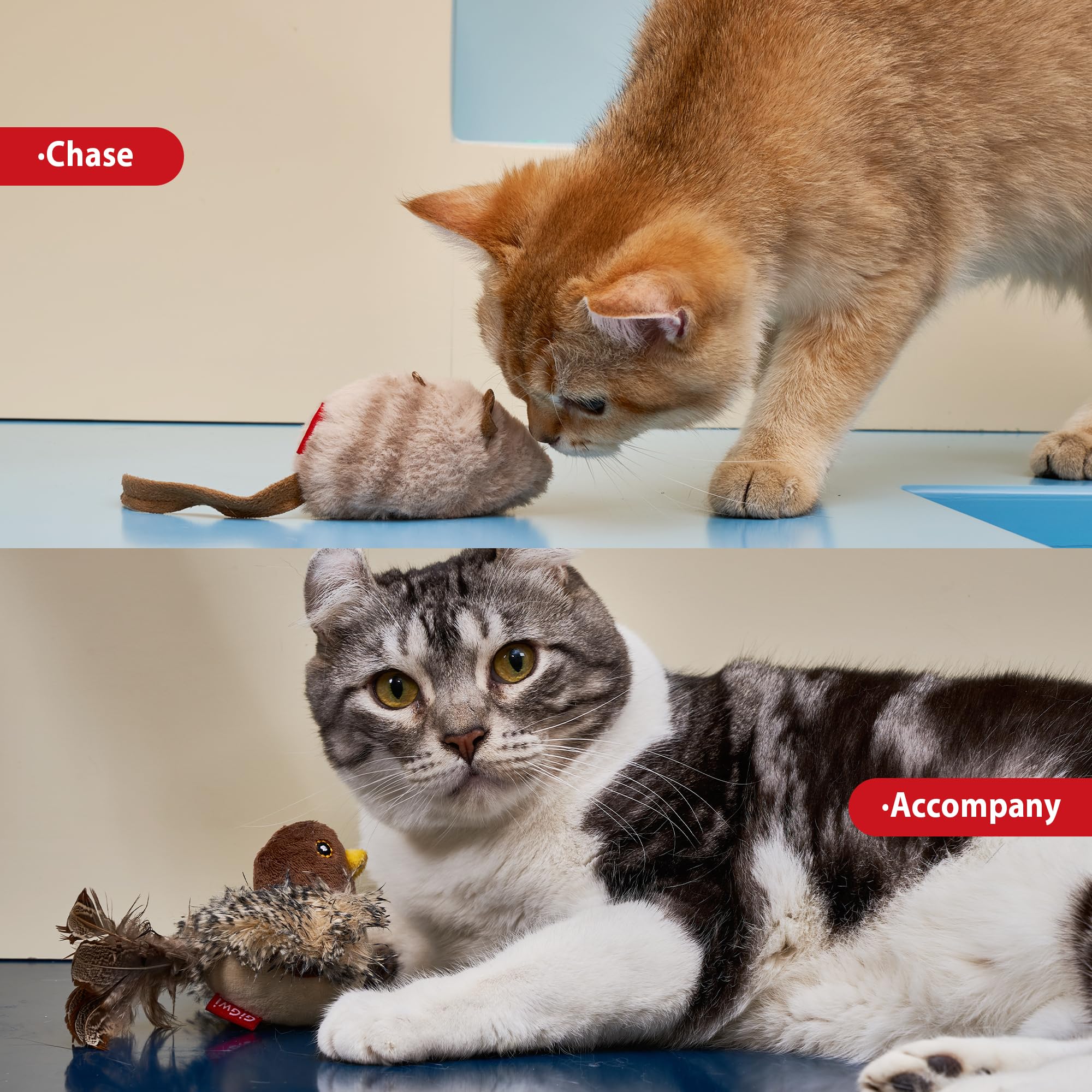 Gigwi Chirping Bird Cat Toy Set - Interactive Motion Activated Kitten Play Toy with Squeaky Sound & Feathers for Indoor Cats - Perfect for Chasing, Pouncing & Playtime for All Breeds