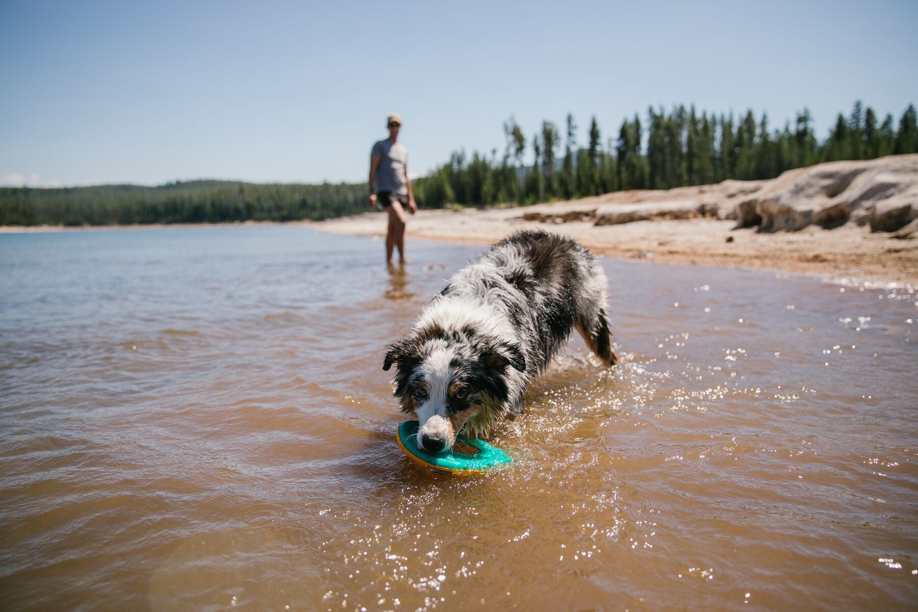 Ruffwear Hydro Plane™ Floating Dog Disc Toy - Tangelo Orange, Waterproof & Durable for Pool, Beach & Outdoor Play - Perfect for Fetch Games with Dogs