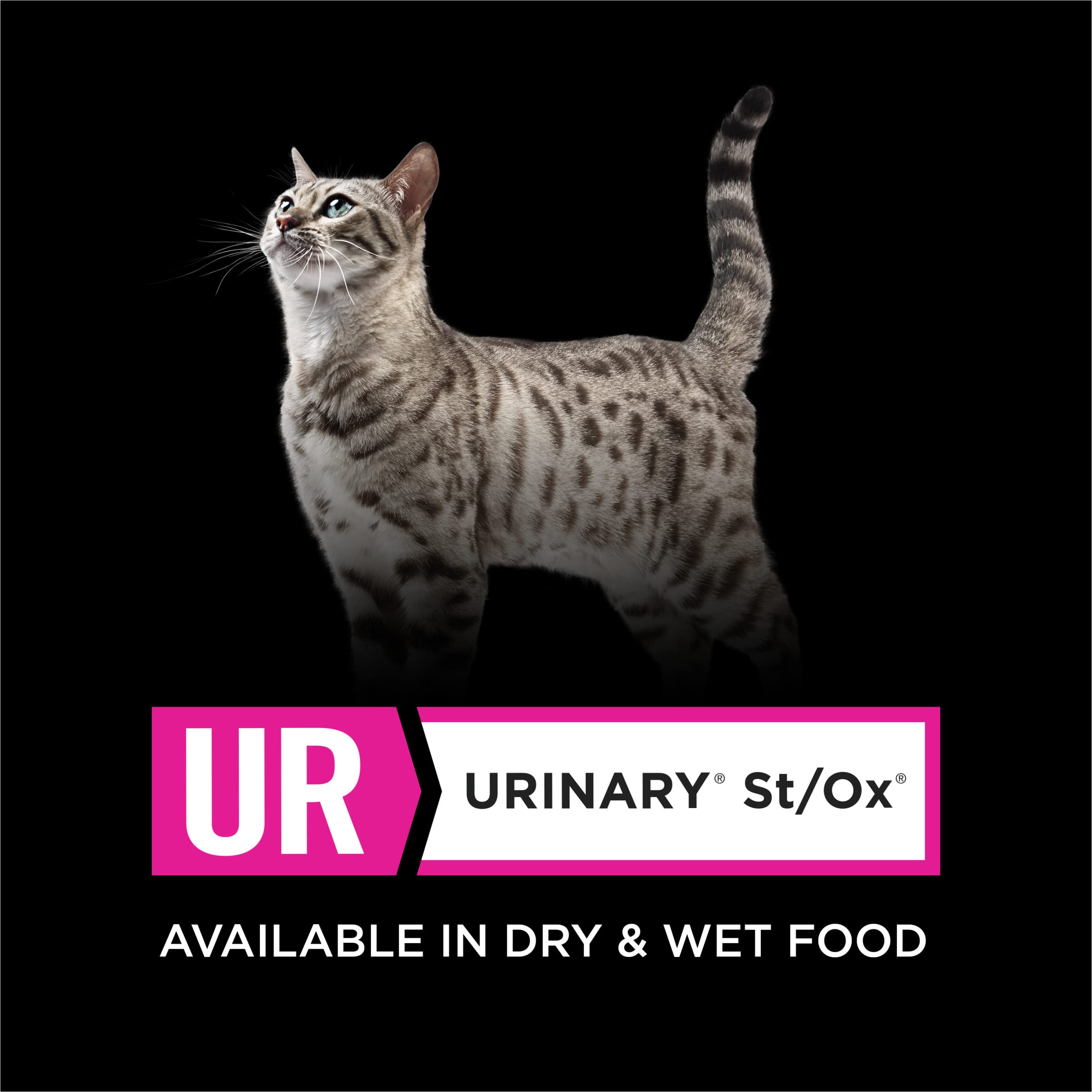 Purina Pro Plan Veterinary Diets UR Urinary St/Ox Dry Cat Food for Urinary Health - 16 lb Bag - Supports Feline Urinary Tract Health - Ideal for Cats with Urinary Issues