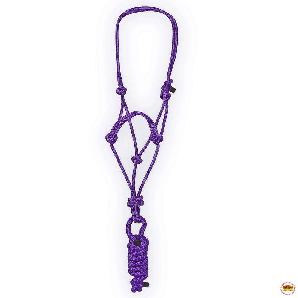 8 Ft Hilason Western Nylon Heavy Duty Horse Lead Rope Halter - Durable Multi-Colored Bridle for Training, Trail Riding & Ranch Work