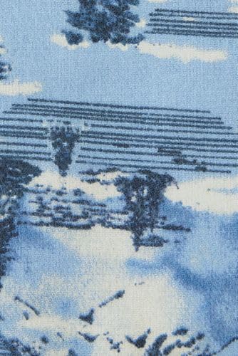 Blue Winter Scenic