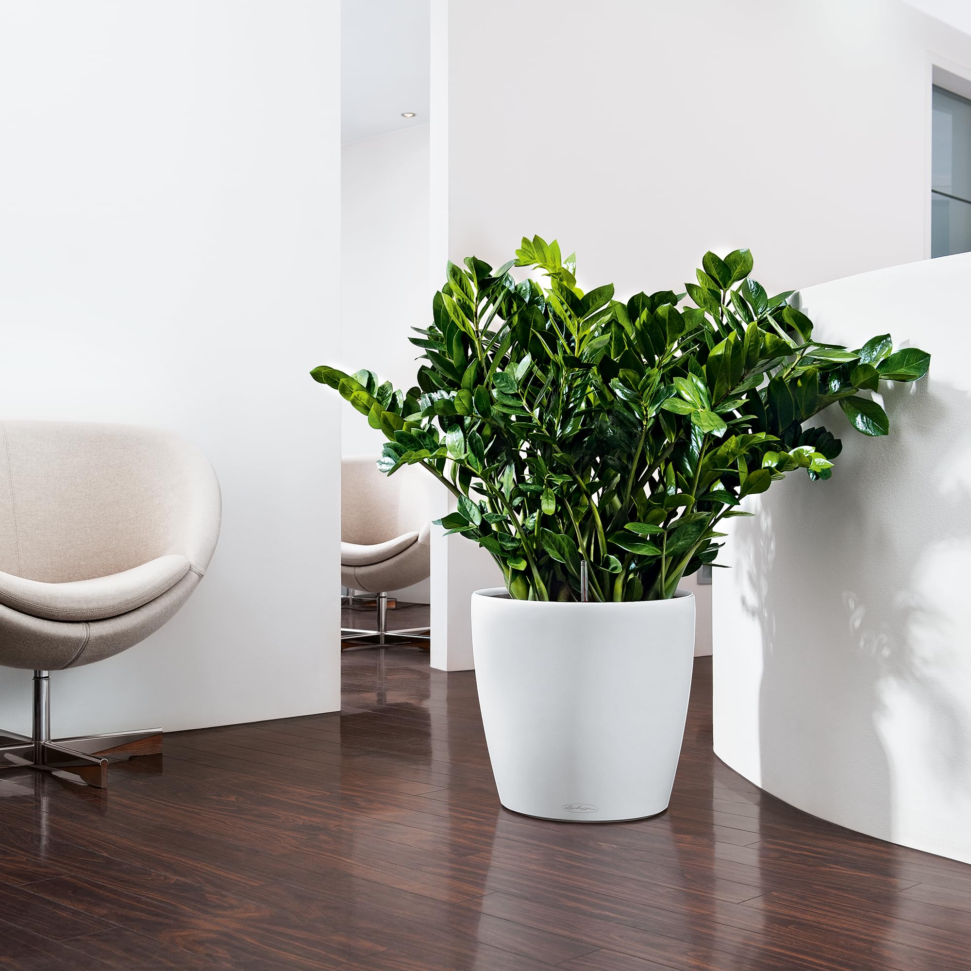 Lechuza Classico 35 Self-Watering Planter - 14 Inch White Matte Flower Pot for Indoor & Outdoor Plants - Perfect for Home, Office, Patio & Garden Decor