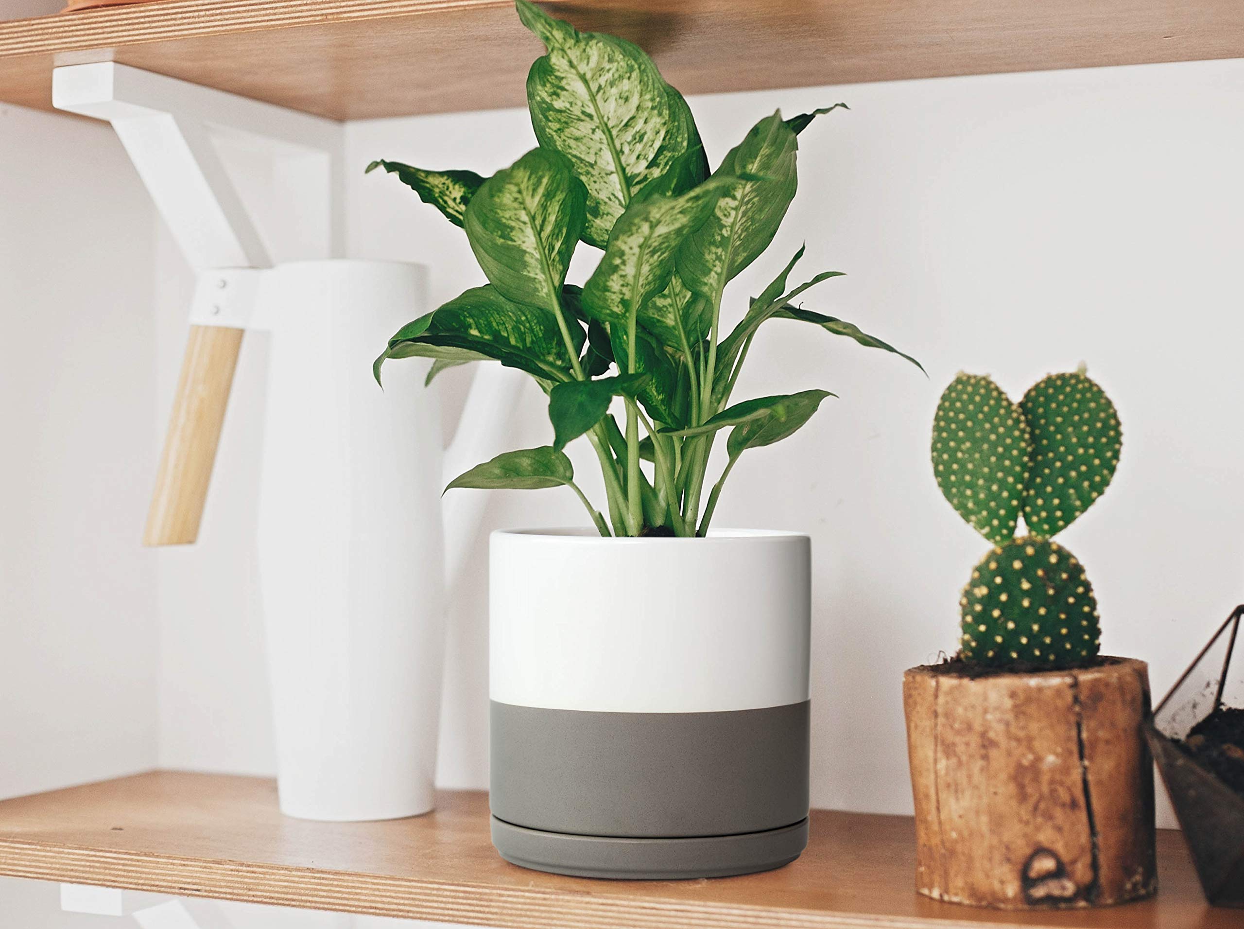 8 Inch Ceramic Planter Pot with Drainage Hole & Saucer - Indoor Cylinder Round Flower Pot for Plants (White/Speckled Grey) - Perfect for Home Decor, Office Desk, and Living Room Plants