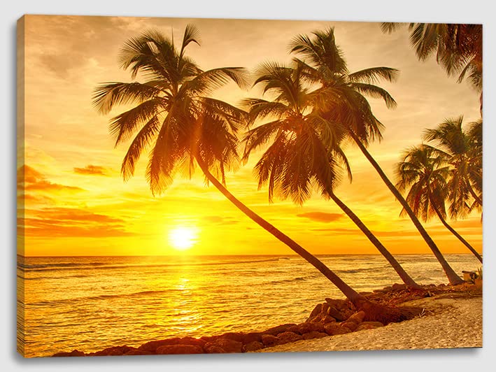 Palm Tree Sunset