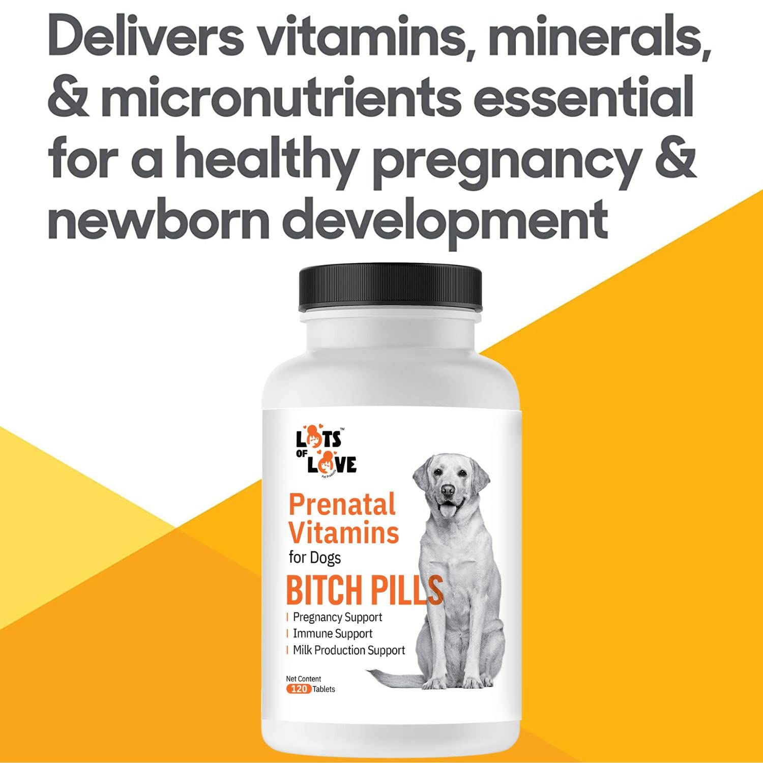 Thomas Pet Prenatal Vitamins for Dogs - 120 Tablets | Essential Dog Prenatal Supplements for Healthy Pregnancy | Supports Mother & Puppy Development | Ideal for Breeding Dogs & Pregnant Canines