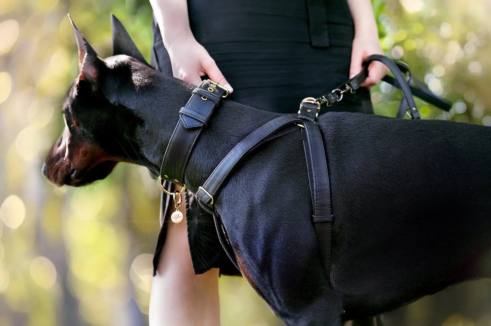 Anatomically Correct Piñatex® Vegan Leather Dog Harness - Eco-Friendly, Cruelty-Free Pet Accessory for Small & Medium Dogs | Black Paradise | Perfect for Walking, Training & Outdoor Adventures