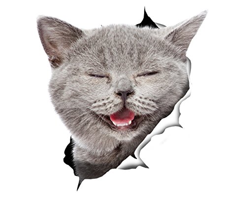 Laughing Grey Cat