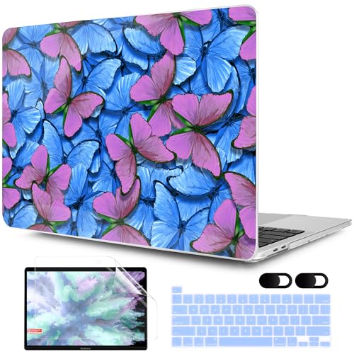 Blue & Pink Butterfly