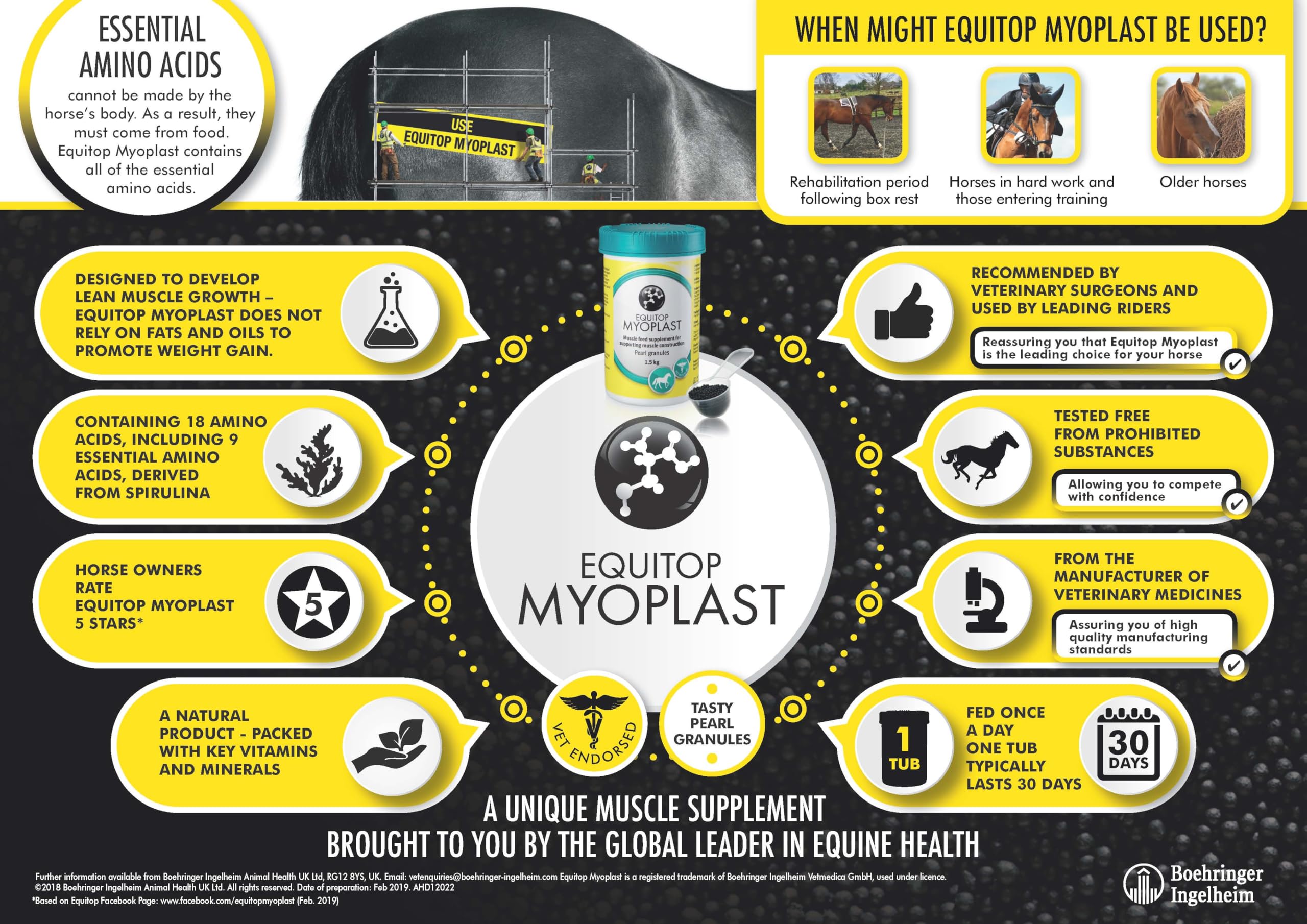 Equitop Myoplast Horse Muscle Building Supplement - 1.5kg for Performance & Recovery - Ideal for Racehorses, Show Jumpers & Equestrian Athletes