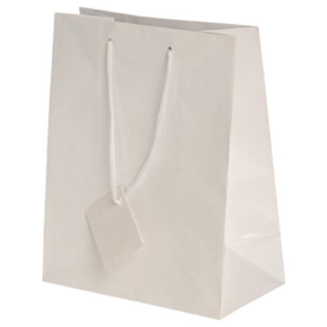 12 Pack Medium White Gift Bags with Tags - Perfect for Birthday, Wedding, Baby Shower & Party Favors Packaging