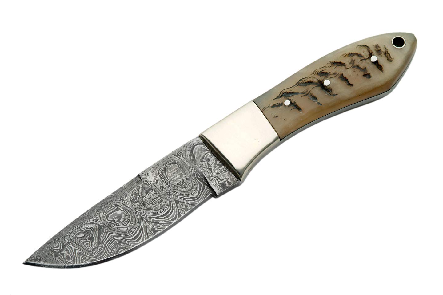 Szco Supplies Ram Handle Hunter Knife - High Quality Outdoor Hunting Knife for Camping, Survival & Bushcraft | Durable Fixed Blade with Ergonomic Grip