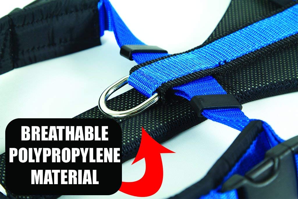 Neewa Small Blue No-Pull Dog Harness for Running, Hiking & Outdoor Adventures - Adjustable Reflective Pet Vest for Small Dogs
