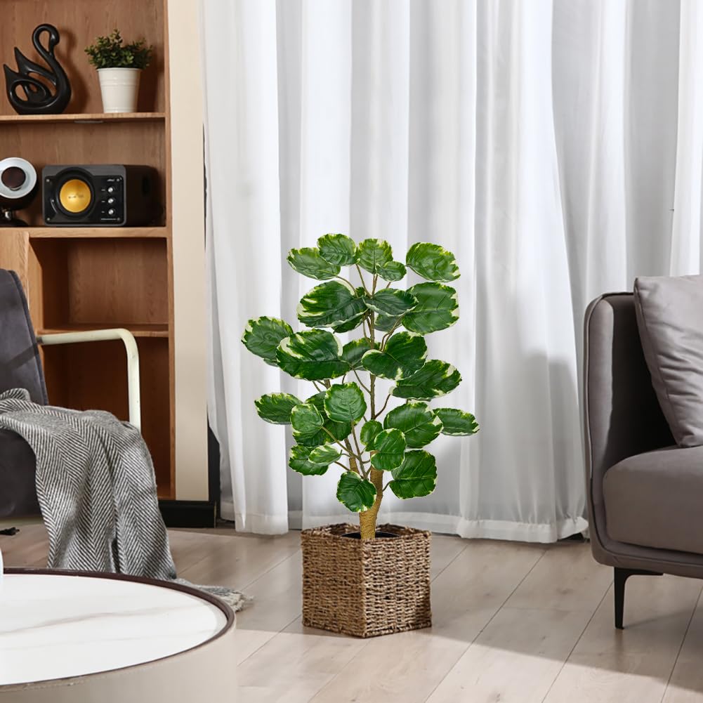 2ft Artificial Aralia Balfour Tree in Black Pot - Fake Polyscias Fabian Plant for Home & Office Decor - Realistic Faux Potted Plant for Living Room, Bedroom, and Workspace