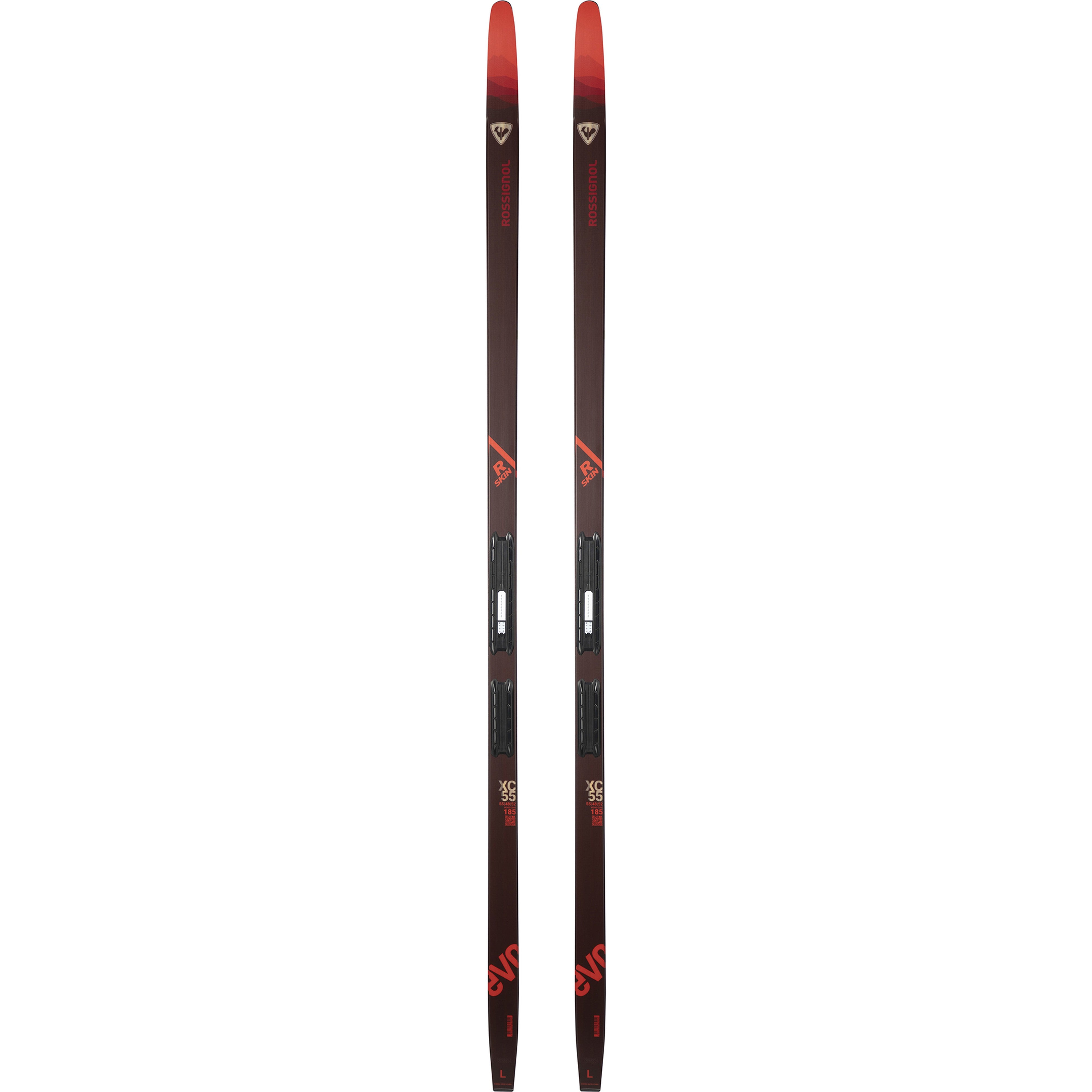 Rossignol EVO XC 55 R SKIN Cross-Country Skis with Control Step-In Bindings 2025 - Perfect for Winter Trails & Backcountry Skiing Adventures