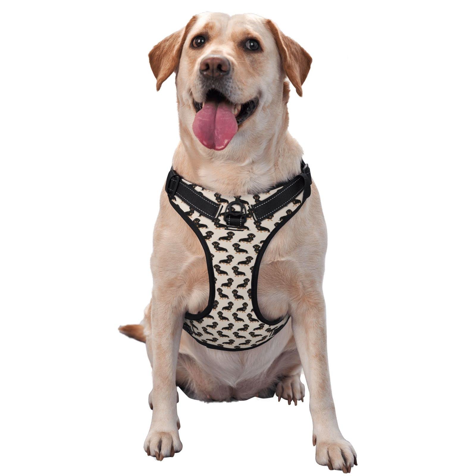 Breathable No Pull Dog Harness with Leash - Escape Proof for Dachshund Walking & Training