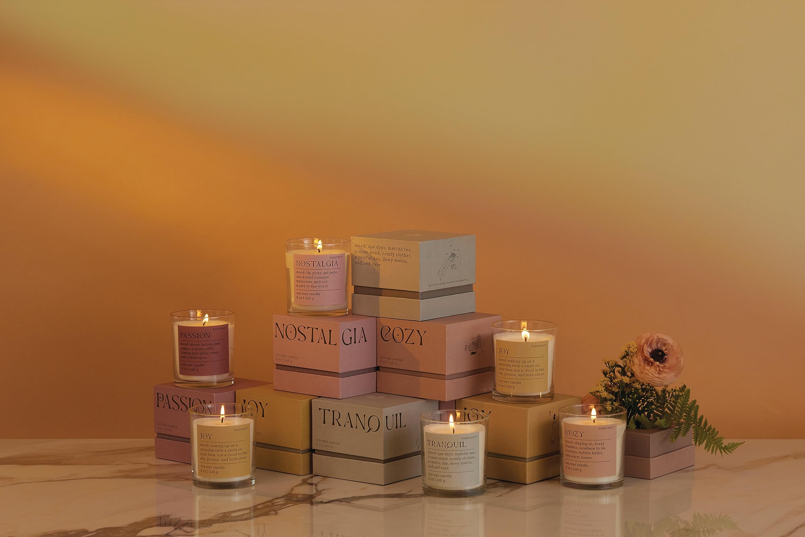 Paddywax Scented Candles - Mood Collection Fragrant Soy Wax Candle in Glass Jar, 8 oz, Passion (Romantic Ambiance, Home Decor, Gift for Her) for Bedroom, Bathroom & Relaxation