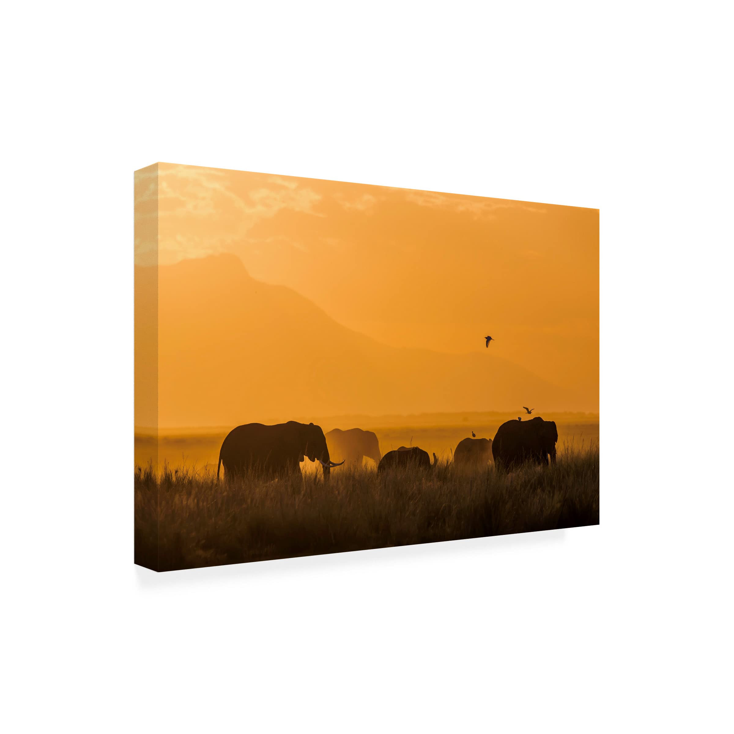 Trademark Fine Art 'Peace' Canvas Wall Art by Young Feng - Modern Home Decor for Living Room, Bedroom & Office