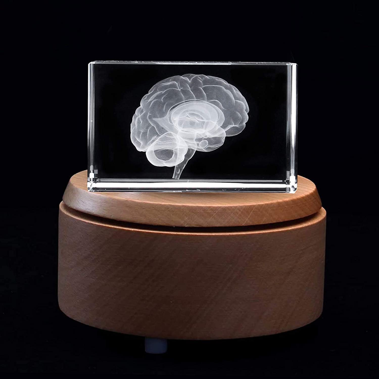 3D Human Brain Anatomical Model - Laser Etched Crystal Glass Cube Paperweight with LED Base | Science Gift for Doctors, Students & Anatomy Enthusiasts | Perfect for Office Desk, Medical Display & Educational Use