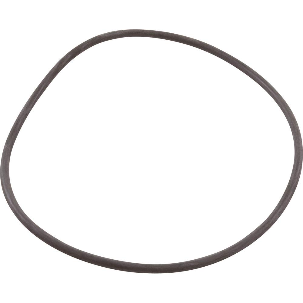 Fluidra O-Ring Replacement for Astral Pool Pump Strainer Basket Lid - Durable Pool Filter Seal Ring for Swimming Pool Maintenance & Repair