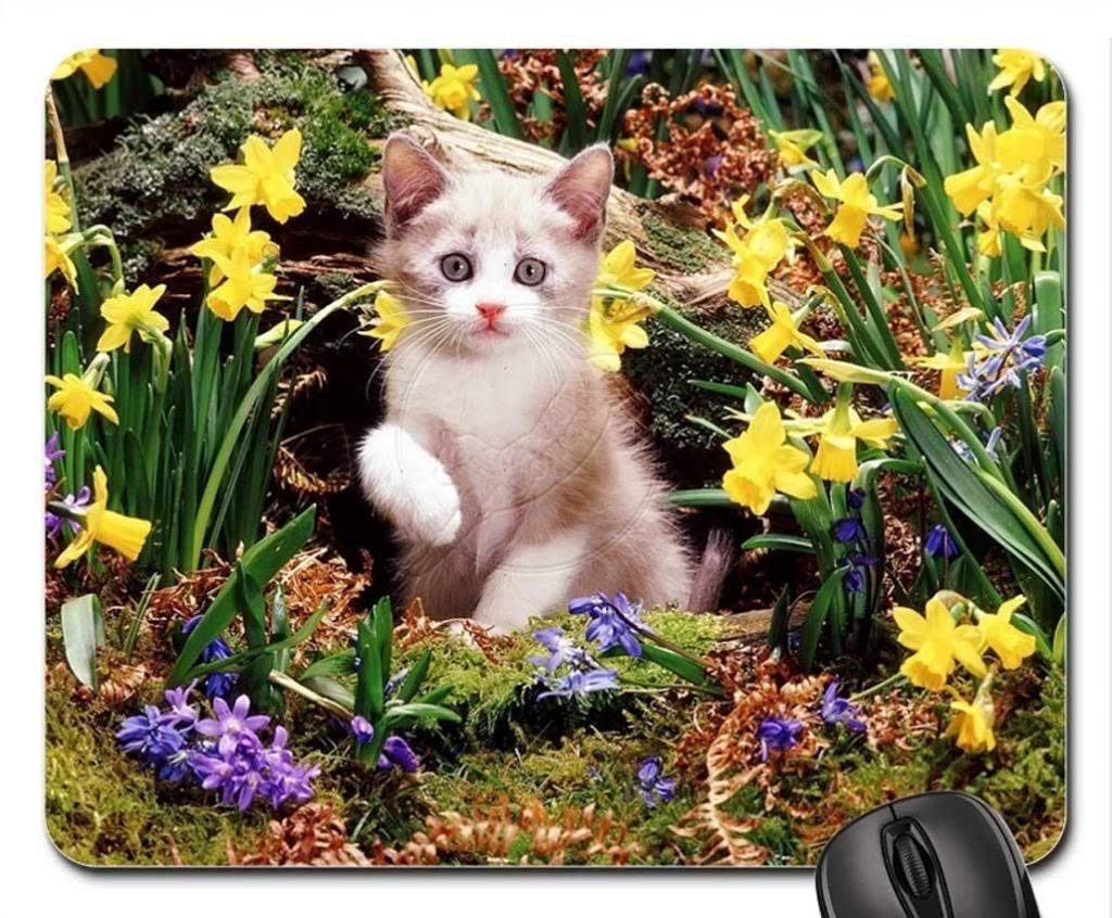 Kitten Among Daffodils Mouse Pad - Cute Cat Design Non-Slip Gaming Mousepad for Computer & Office Use