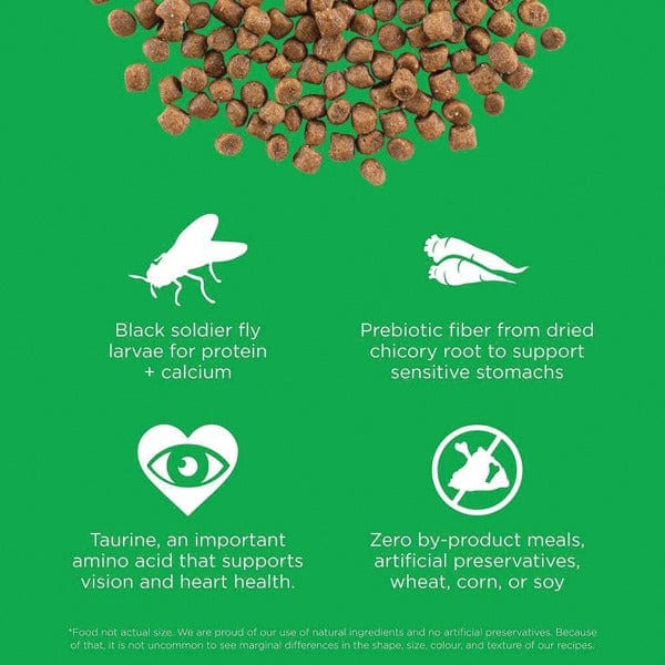Go! Solutions Sensitivities Limited Ingredient Grain-Free Insect Protein Dry Cat Food for Sensitive Stomachs - Special Order - Perfect for Cats with Food Allergies & Digestive Issues