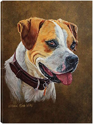 Dog 1 Buddy Boxer
