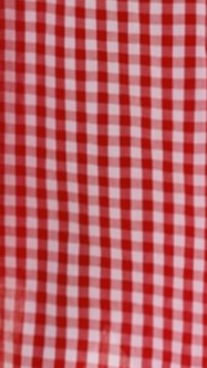 Brydie Halter Maxi Dress - Red Gingham Print Flowy Summer Dress for Women | Beach Cover Up, Vacation Outfit, Boho Chic Fashion