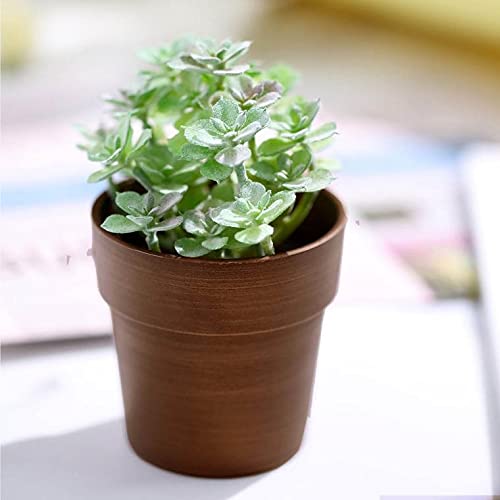 3 Packs Mini Plastic Succulent Plant Nursery Pots - 3