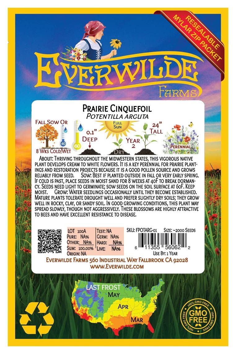 Everwilde Farms - 2000 Prairie Cinquefoil Native Wildflower Seeds - Gold Vault Jumbo Seed Packet for Pollinator Gardens & Landscaping