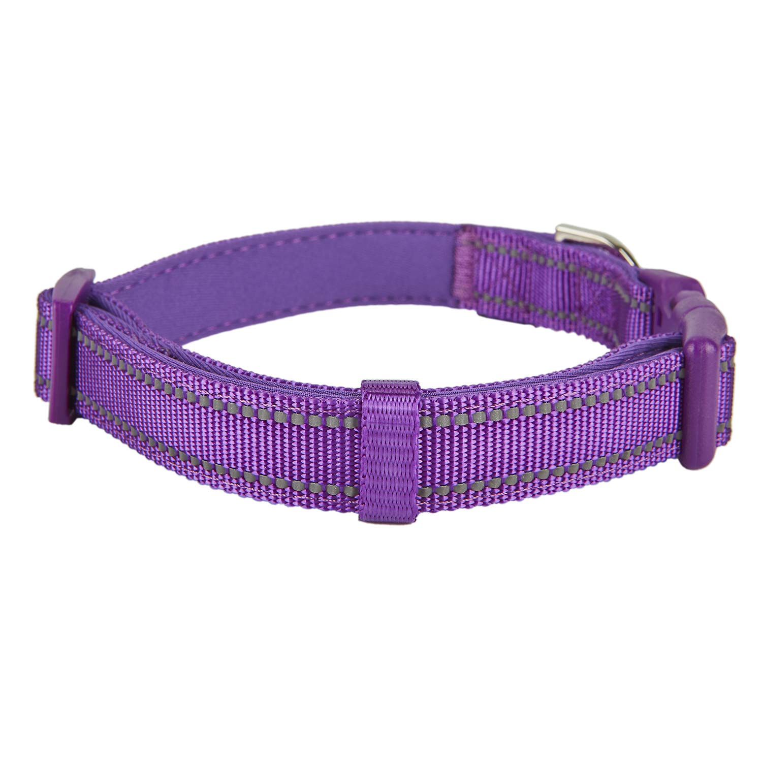 Reflective Nylon Dog Collar with Breathable Neoprene Padding - Adjustable Small Dog Collar (9.8