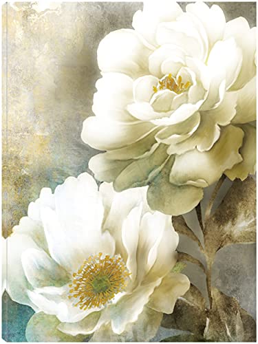 Soft Spring II