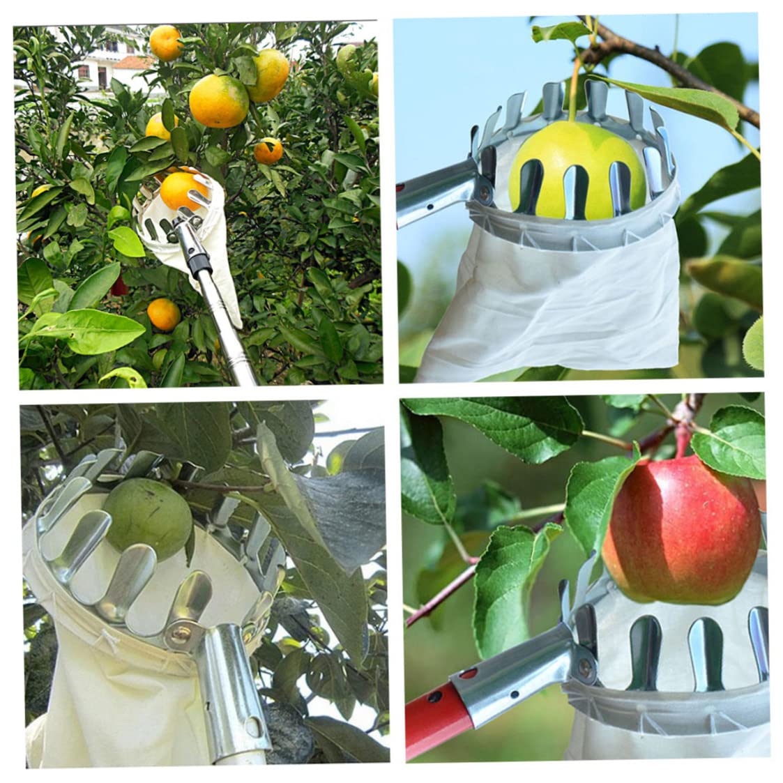 4PCS Lightweight Telescopic Fruit Picker Set - Extendable Fruit Harvesting Tool for Apples, Peaches, Lychee & Berries | Perfect for Home Garden, Orchard Harvesting & Farm Fruit Collection