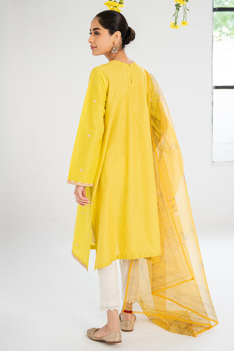 Amber Glow 2-Piece Outfit Set (Shirt & Dupatta) - Elegant Ethnic Wear for Women | Perfect for Weddings, Parties & Festive Occasions