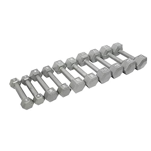 Premium Ader Grey Hex Dumbbell Set - 1 Pair Cast Iron Weight Dumbbells for Home Gym, Strength Training & CrossFit Workouts