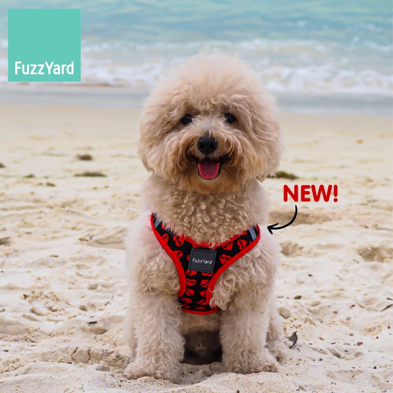 Fuzzyard Heart Breaker Dog Step-in Harness - Adjustable Soft Pet Vest with Reflective Strips (6 Sizes) | Perfect for Small to Medium Dogs Walking, Training & Outdoor Adventures