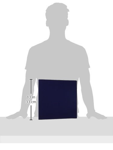 Avery Economy 3 Ring Binder with 3 Inch Round Rings and Label Holder - 1 Blue Binder (04600) for School, Office, and Home Organization