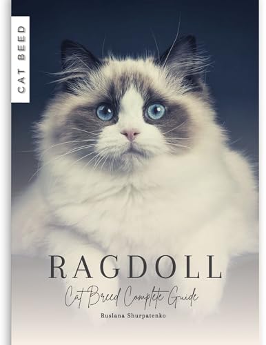 Ragdoll Cat Breed Guide - Characteristics, Care & Personality Traits | Perfect for Families & Indoor Living