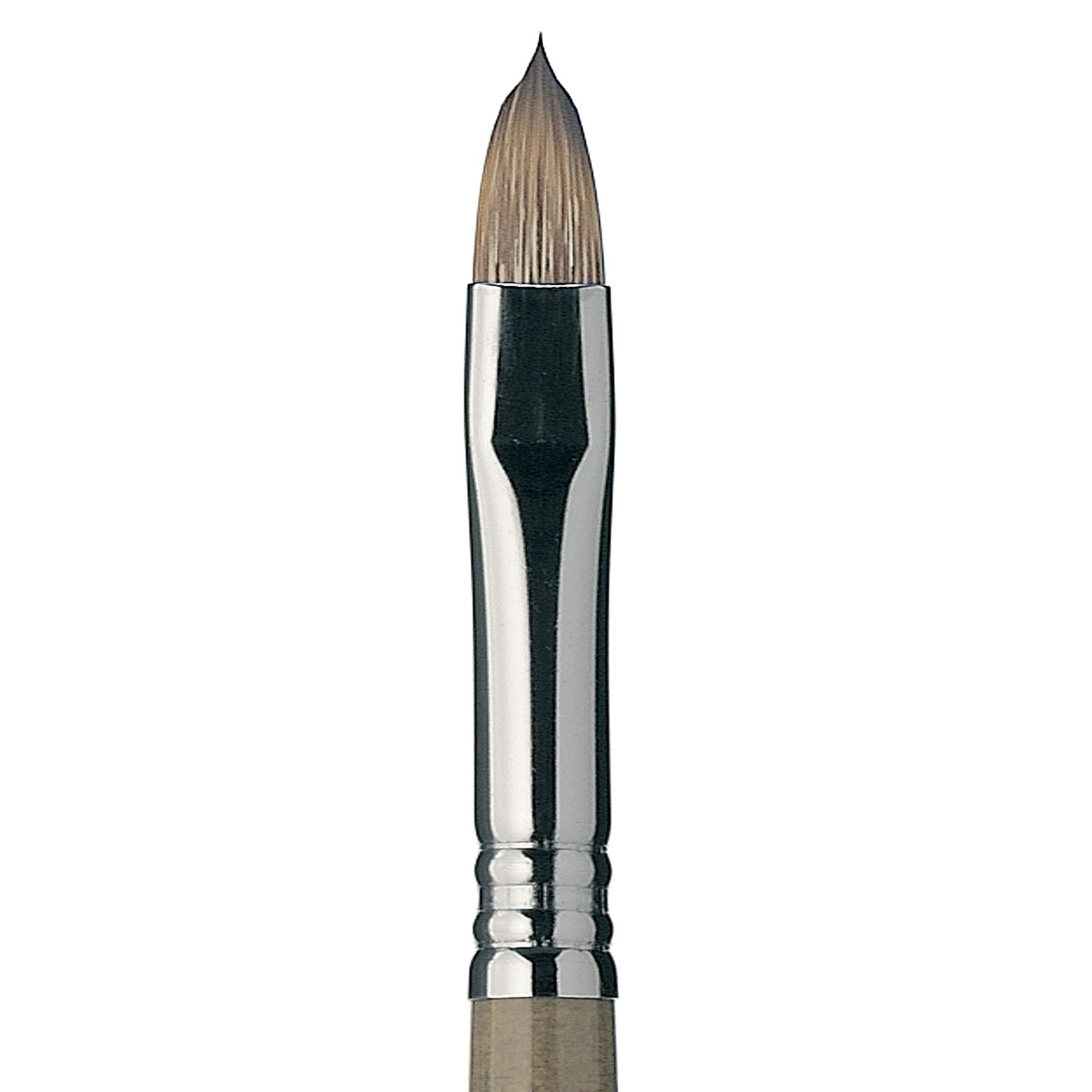 Escoda Modernista Series Artist Paint Brush - Size 20 Filbert for Oil & Acrylic Painting - Professional Long Handle Paintbrush for Canvas, Portrait & Fine Art - Perfect for Artists & Beginners