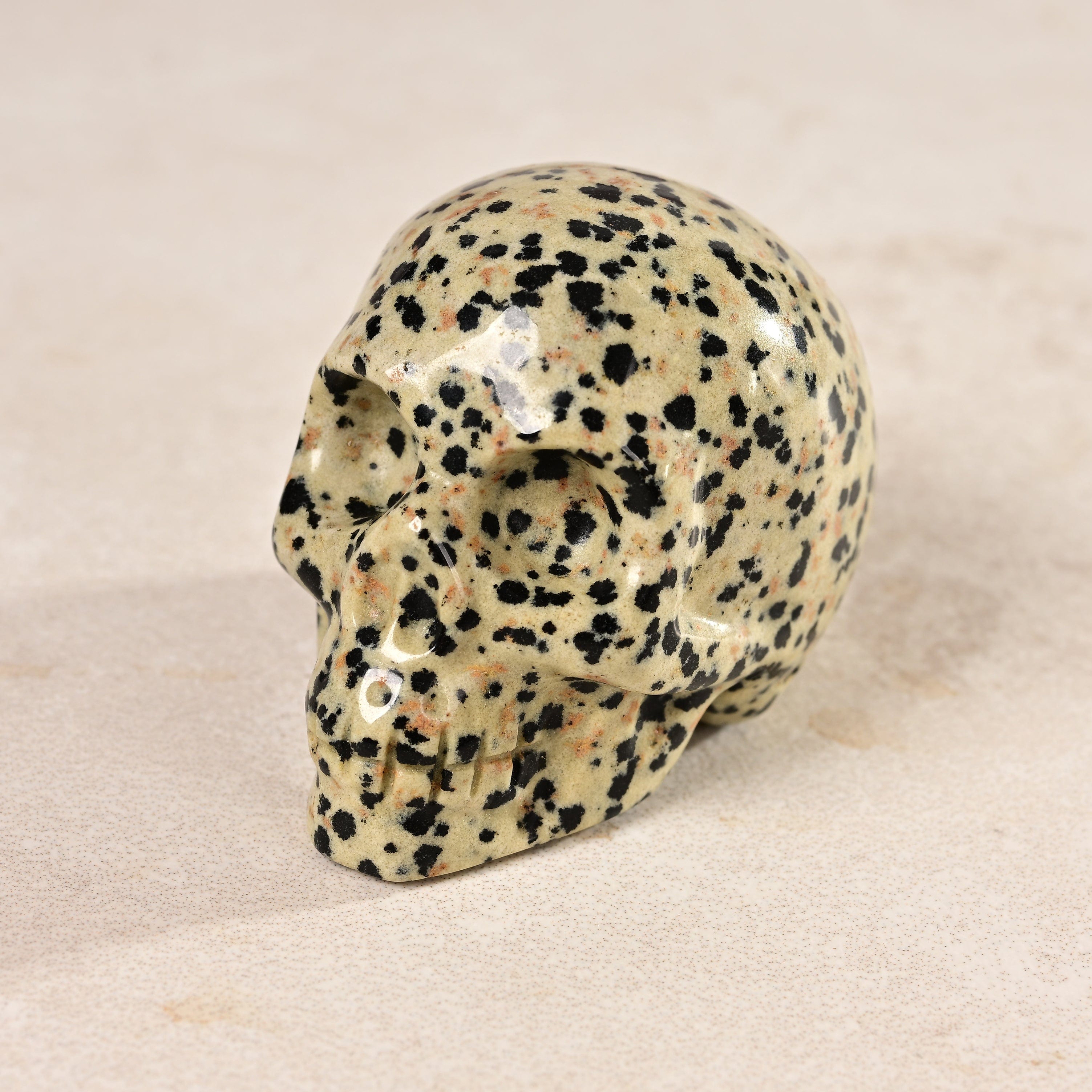 2 Pack Dalmatian Jasper Skull Carvings - Natural Gemstone Healing Crystals for Meditation, Home Decor, and Spiritual Gifts