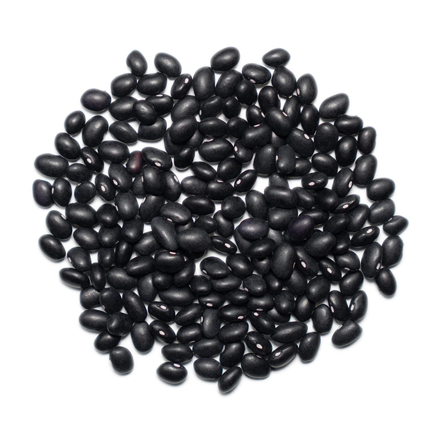 Organic Black Beans 25lb Bulk - Vegan, for Soups, Salads & Chili