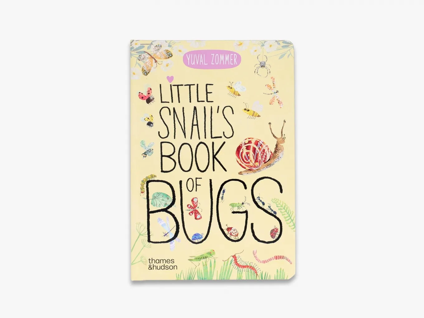 Little Snail's Book of Bugs - Educational Children's Nature Book | The Big Book Series | Perfect for Kids' Bedtime Reading & Classroom Learning