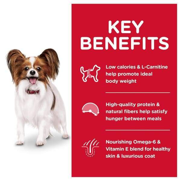 Science Diet Adult Light Small Paws Dry Dog Food 1.5kg - Healthy Weight Management for Small Breed Dogs - Perfect for Indoor & Active Lifestyles