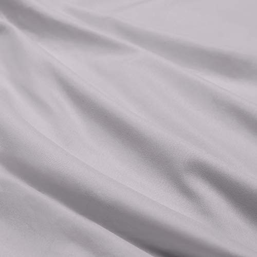 Light Gray Lavender